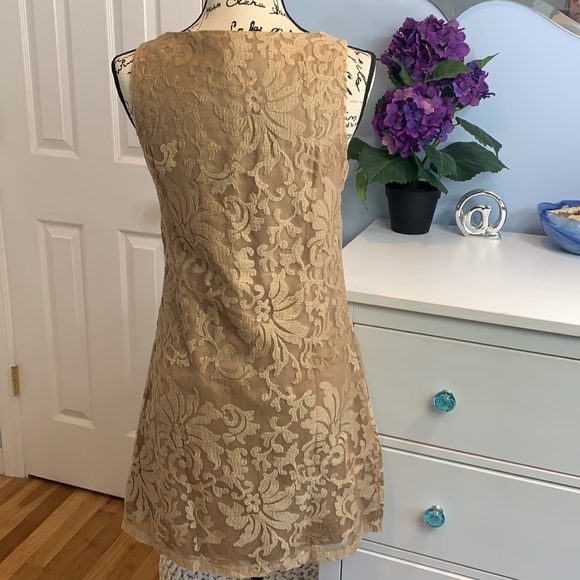 Lucy Paris Sleeveless Lace Shift Dress NWT - Picture 2 of 5